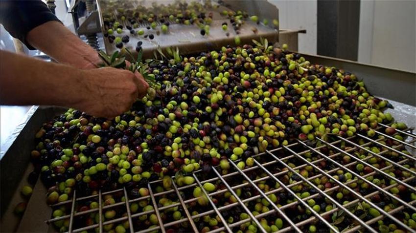 Hibe desteği ile köyüne üretim tesisi kurdu! İstihdama destek oluyor 