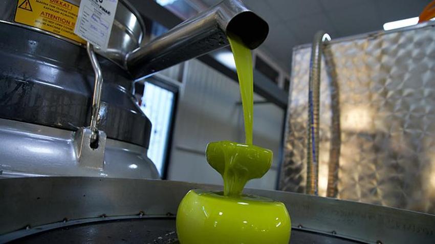 Hibe desteği ile köyüne üretim tesisi kurdu! İstihdama destek oluyor 