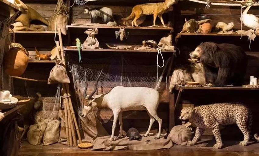 Nuh'un Gemisi'nin yeri belli oldu! Bilim insanları 3 bin yıllık haritanın sırrını çözdü