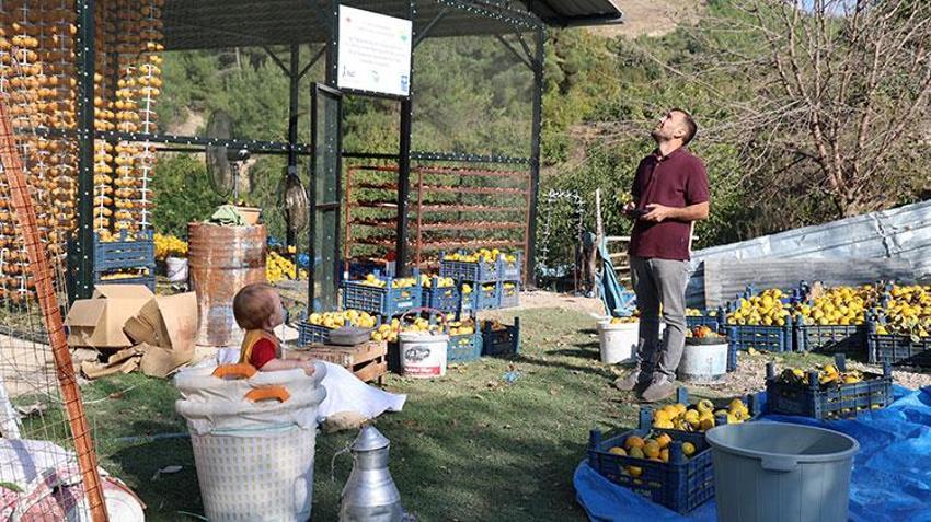 Üretim devlet desteği ile başladı! Adana'da da hasat zamanı geldi, kilosu 200 TL'den satışta 