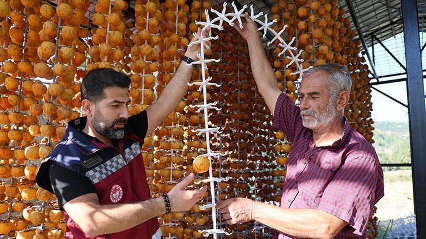 Üretim devlet desteği ile başladı! Adana'da da hasat zamanı geldi, kilosu 200 TL'den satışta 