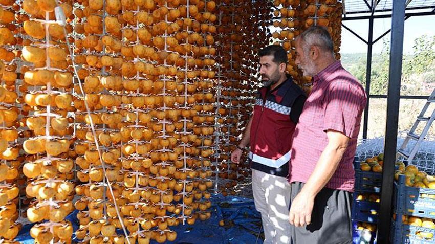 Üretim devlet desteği ile başladı! Adana'da da hasat zamanı geldi, kilosu 200 TL'den satışta 