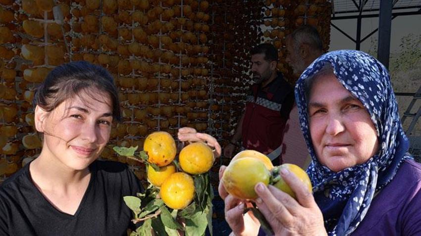 Üretim devlet desteği ile başladı! Adana'da da hasat zamanı geldi, kilosu 200 TL'den satışta 