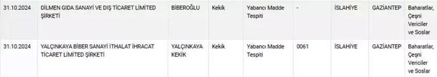 Gıda sahteciliği had safhada! Bakanlık yeni listeyi açıkladı: Kebap, kekik, sumak, pul biber, zeytinyağı...