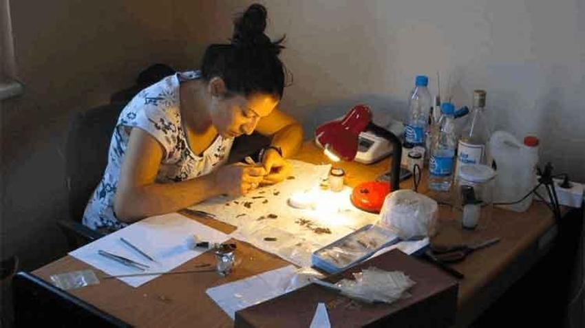 Eşinin 5. kattan atlayıp intihar ettiği olayda tutuklanan profesörün ifadesi ortaya çıktı! Yatak odasındaki kanlı peçetelerin sırrı çözüldü
