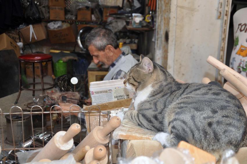 Yılın 'Türkiye Ahisi’ 69 yıldır makineye direniyor! 'Yurt genelinde bu mesleği yapan yok'