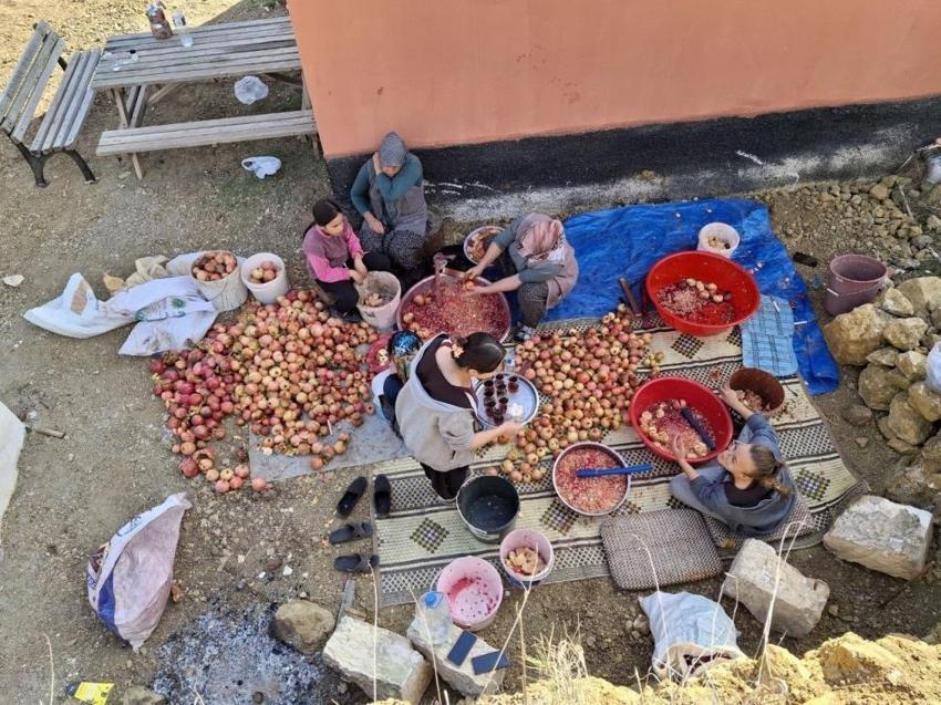 Adana'da sopalar ellere alındı! Nar ekşisi mesaisi başladı