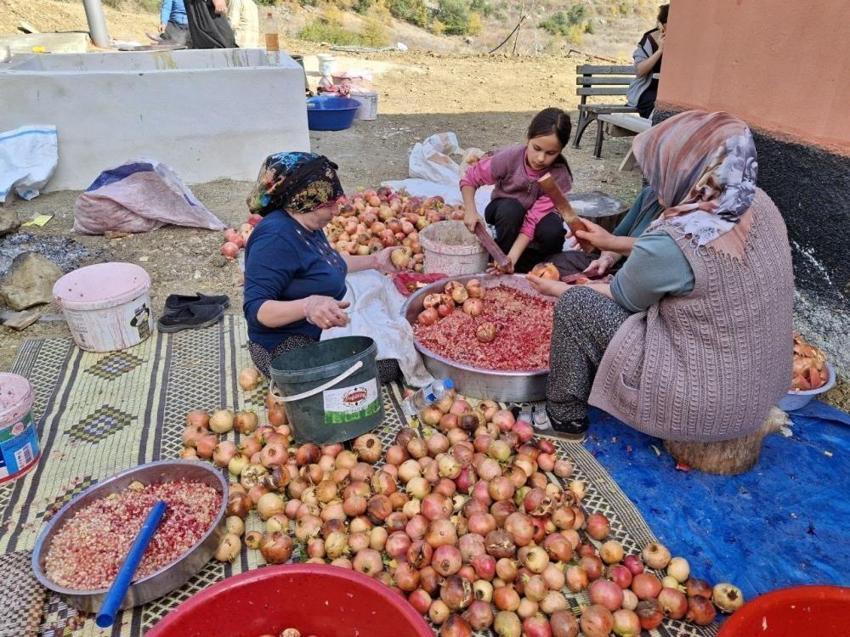 Adana'da sopalar ellere alındı! Nar ekşisi mesaisi başladı