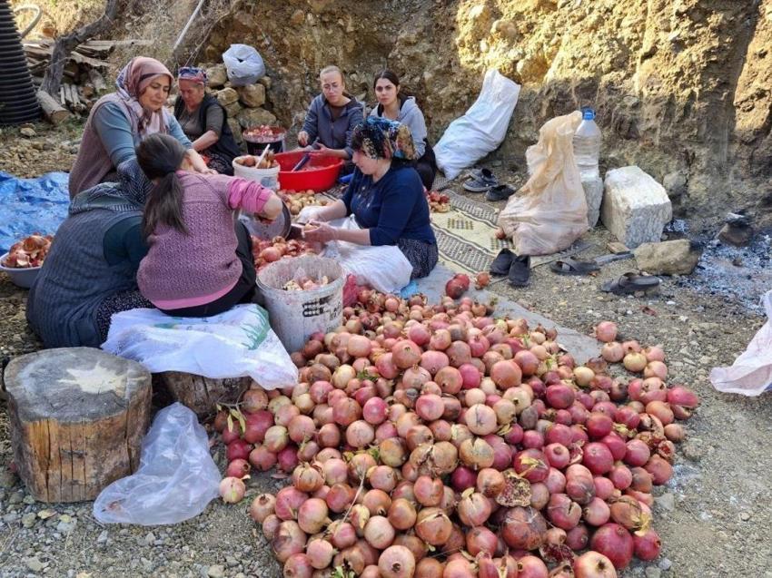 Adana'da sopalar ellere alındı! Nar ekşisi mesaisi başladı