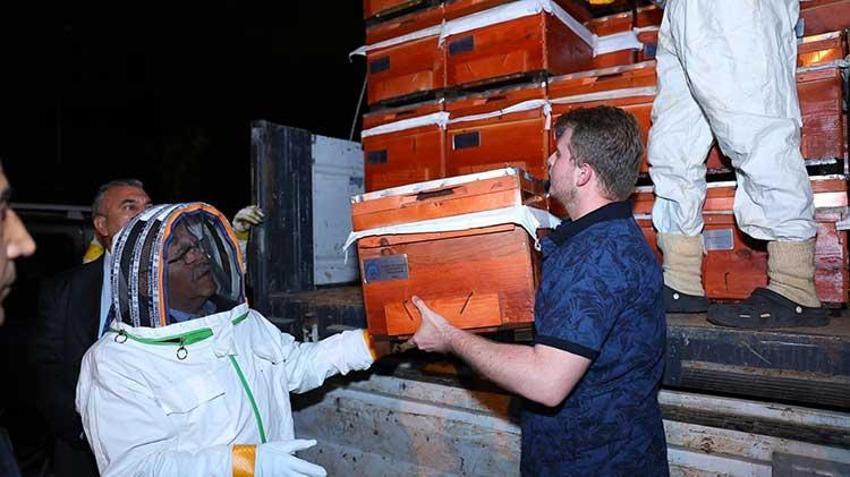 Kayseri'de dağıtılan arı kovanlarından bal hasadı yapıldı