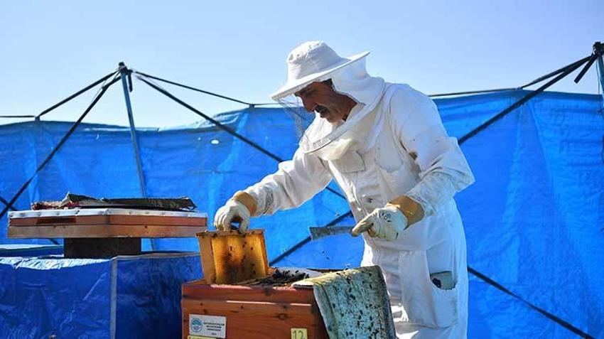 Kayseri'de dağıtılan arı kovanlarından bal hasadı yapıldı