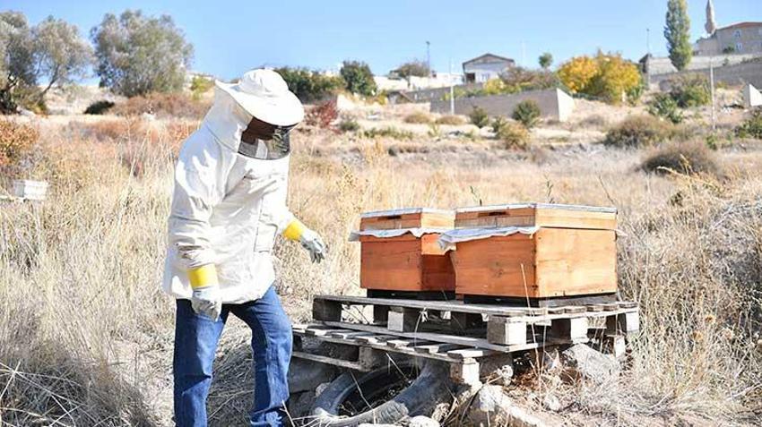 Kayseri'de dağıtılan arı kovanlarından bal hasadı yapıldı