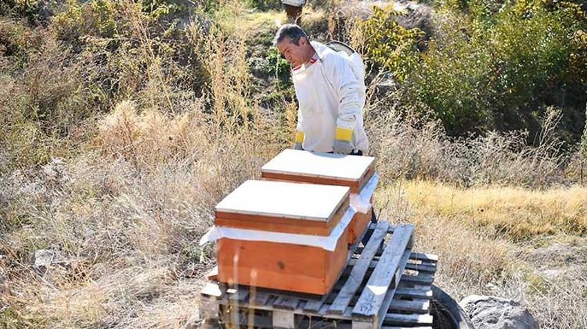Kayseri'de dağıtılan arı kovanlarından bal hasadı yapıldı
