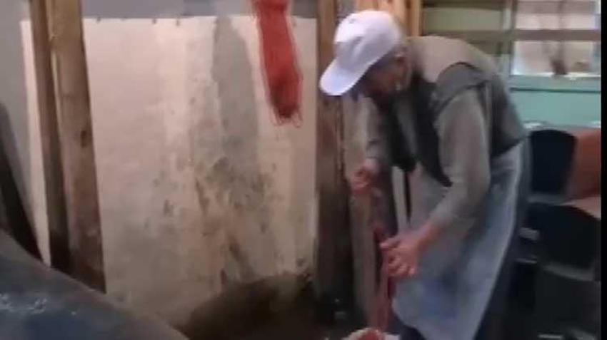 Altın yerine yatırım aracı olarak kullanılıyordu! Ustası kalmadı, işler bitme noktasına geldi 