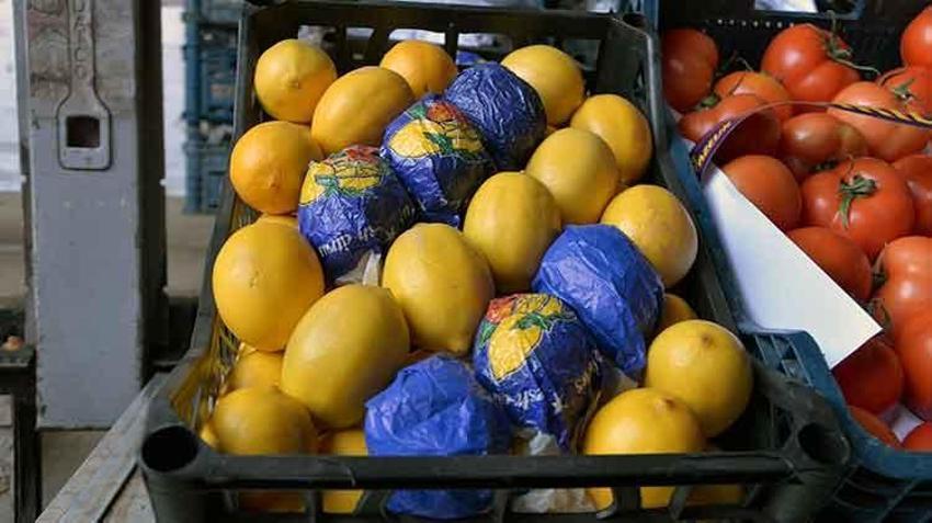 Sebze halinde 40 liraya satılan salatalık marketlerde 87 lira! 'Tüketici fahiş fiyatlar nedeniyle zarar ediyor'
