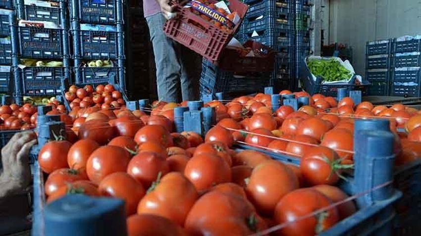 Sebze halinde 40 liraya satılan salatalık marketlerde 87 lira! 'Tüketici fahiş fiyatlar nedeniyle zarar ediyor'