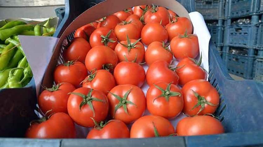 Sebze halinde 40 liraya satılan salatalık marketlerde 87 lira! 'Tüketici fahiş fiyatlar nedeniyle zarar ediyor'