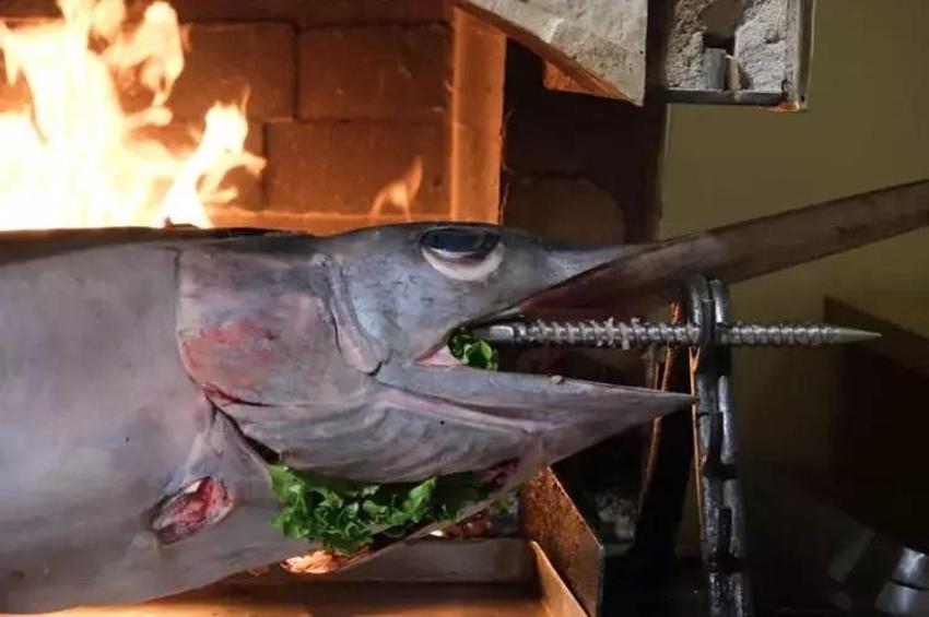 Ankara'da 75 kiloluk kılıç balığından cağ kebabı yapıldı