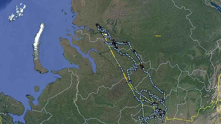 Bozkır delicesinin göç yolları uydu takibinde! Iğdır'daki merkez dünyada ilk sırada