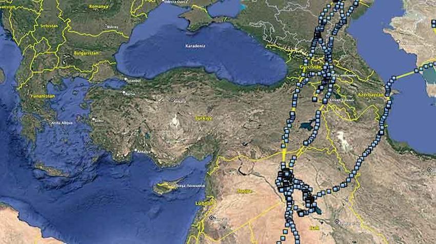 Bozkır delicesinin göç yolları uydu takibinde! Iğdır'daki merkez dünyada ilk sırada