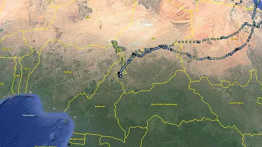 Bozkır delicesinin göç yolları uydu takibinde! Iğdır'daki merkez dünyada ilk sırada