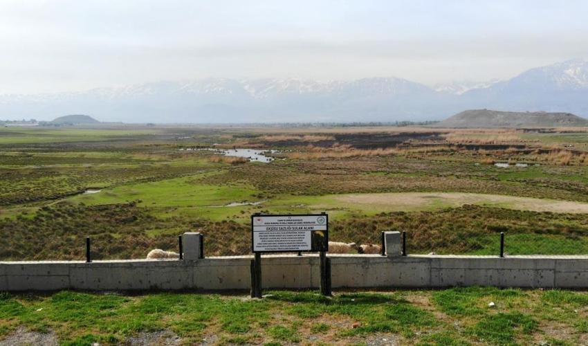 300 kuş türü Erzincan'da mola veriyor! Ekşisu Sazlığı'nda göç dönemi başladı
