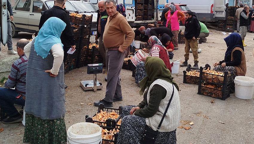 Doktordan mantar uyarısı! Zehirlenme ölüme sebep olabilir