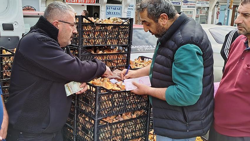 Doktordan mantar uyarısı! Zehirlenme ölüme sebep olabilir