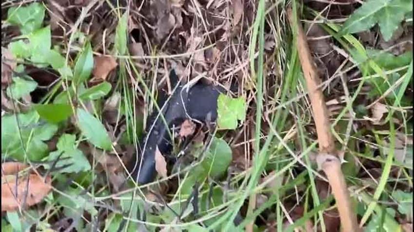 Arnavutköy'de kaybolan iş adamının cesedi bulundu, ortağı tutuklandı