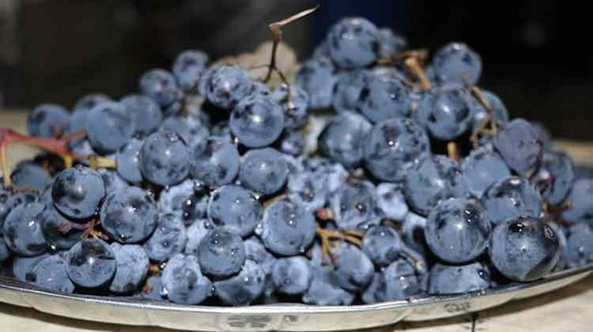 Binlerce yıllık fıçılarda mayalanıyor: Yazıköy'de sirke kültürü yüzyıllardır devam ediyor