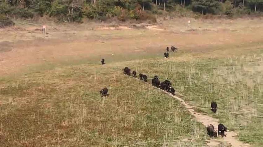 İstanbul'un 35 günlük suyu kaldı! Barajlarda doluluk oranı yüzde 30'un altına düştü