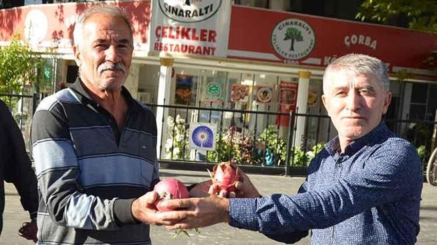 Antalyalı çiftçi, Trump yeniden seçilince turp ve ejder meyvesi dağıttı