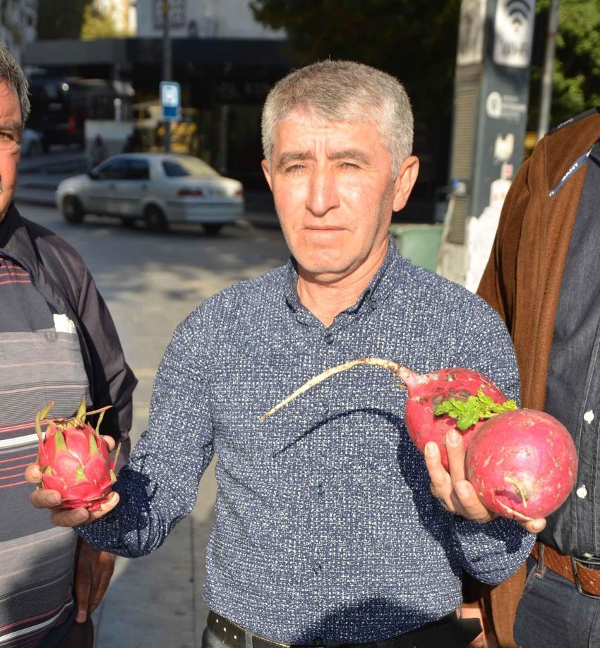 Antalyalı çiftçi, Trump yeniden seçilince turp ve ejder meyvesi dağıttı