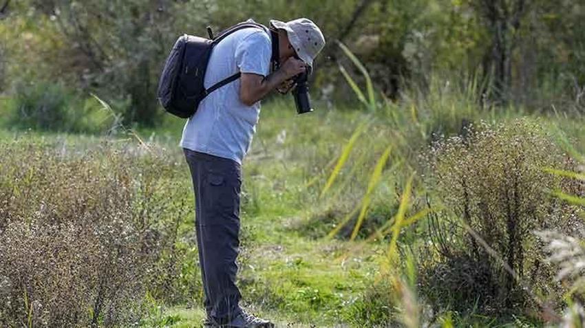 Diyarbakır, sonbahar'da Dicle Güzeli' kelebeğini çekmek isteyene fotoğrafçıları ağırlıyor