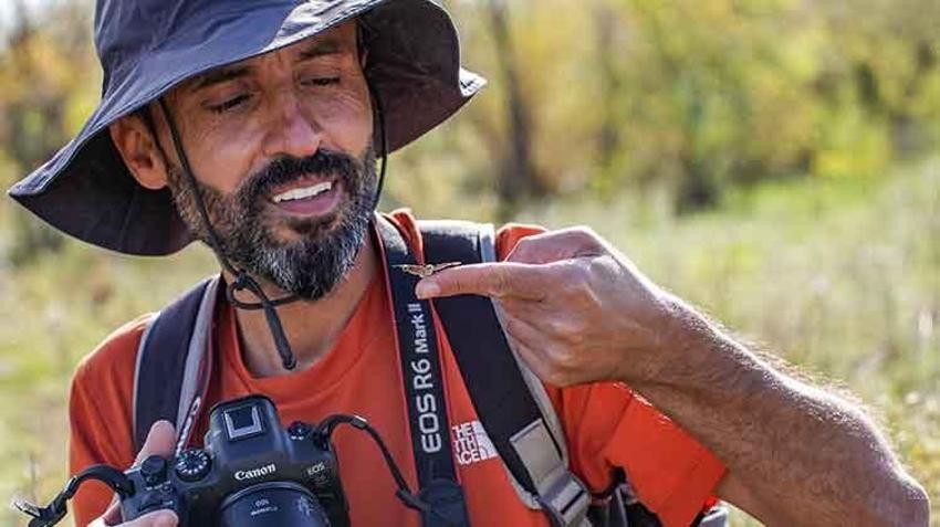 Diyarbakır, sonbahar'da Dicle Güzeli' kelebeğini çekmek isteyene fotoğrafçıları ağırlıyor