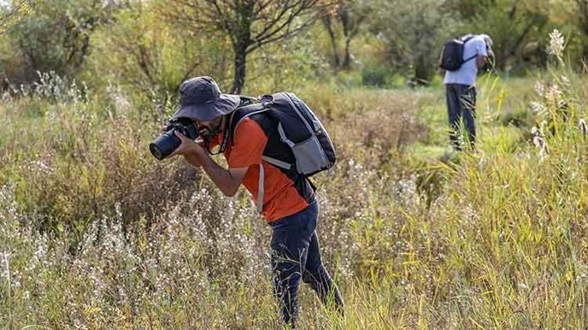 Diyarbakır, sonbahar'da Dicle Güzeli' kelebeğini çekmek isteyene fotoğrafçıları ağırlıyor