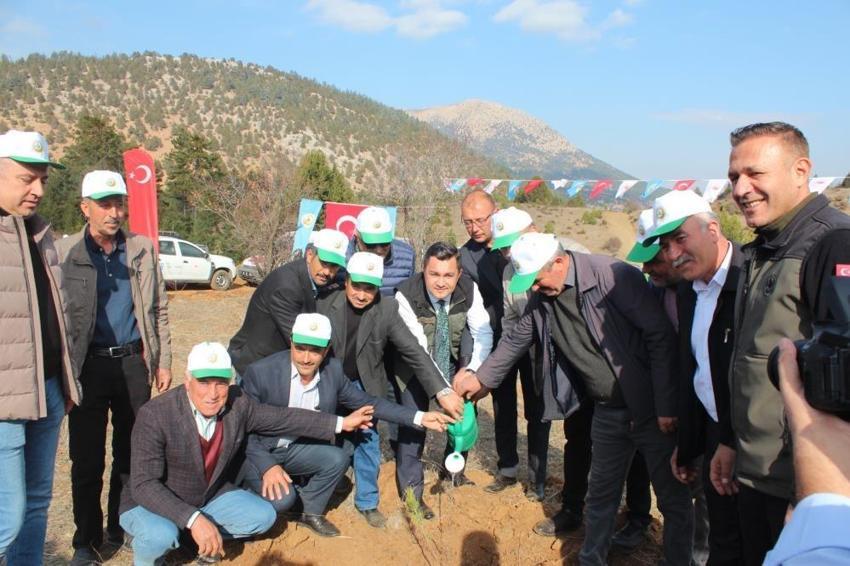 Ağaçlandırma Günü'nde Saimbeyli'de 2 bin fidan toprakla buluştu