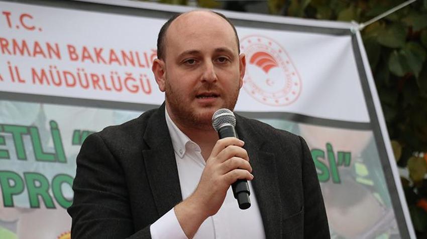 Yalova'da coğrafi işaretli kivinin hasadı başladı