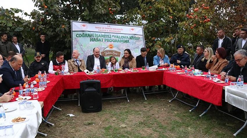 Yalova'da coğrafi işaretli kivinin hasadı başladı