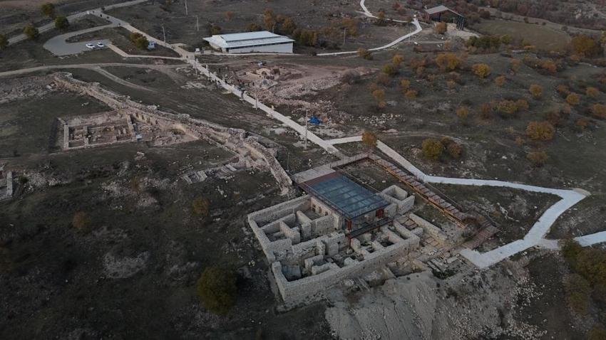 Anadolu'da ilk kez görüldü! Bir eşi de Kudüs'te ortaya çıktı