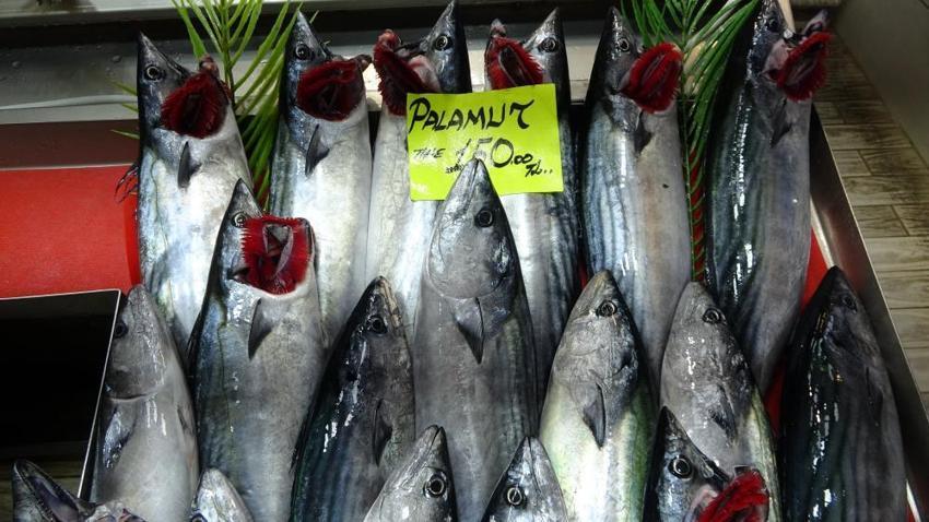 Çanakkale'de denizlerin bereketi tezgahlara yansıdı