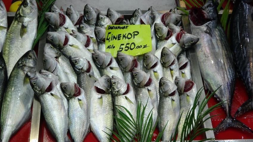 Çanakkale'de denizlerin bereketi tezgahlara yansıdı