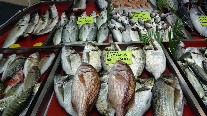 Çanakkale'de denizlerin bereketi tezgahlara yansıdı