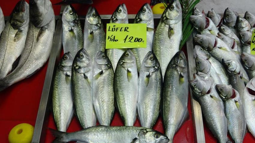 Çanakkale'de denizlerin bereketi tezgahlara yansıdı