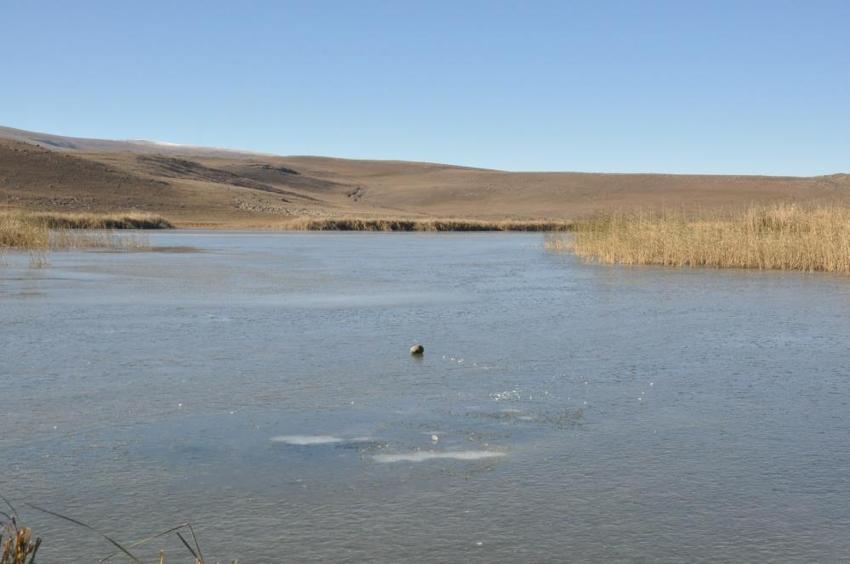 Kars'ta hava sıcaklığı eksi 12'yi gördü, Lavaş gölü dondu