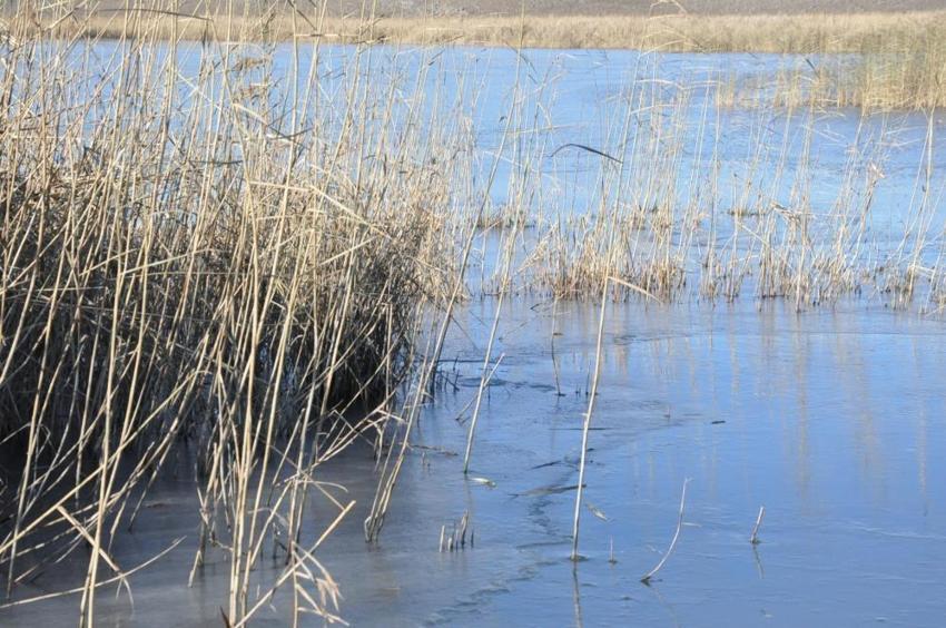 Kars'ta hava sıcaklığı eksi 12'yi gördü, Lavaş gölü dondu