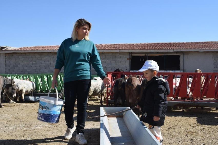 Karaman'da üniversiteli anne hem koyunlarına hem de kendi kuzusuna bakıyor