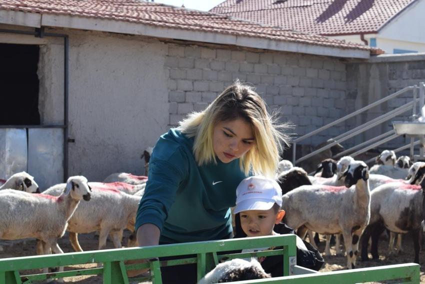 Karaman'da üniversiteli anne hem koyunlarına hem de kendi kuzusuna bakıyor