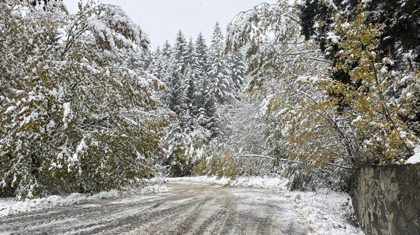 İstanbul'a kar geliyor! Prof. Dr. Orhan Şen tarih vererek açıkladı: Meteoroloji'den buzlanma ve don olayları uyarısı