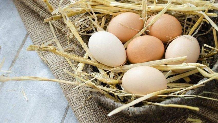 Yumurta fiyatları neden yükseliyor? Kuş gribi fırsatçılığı! 200 TL'yi aştı